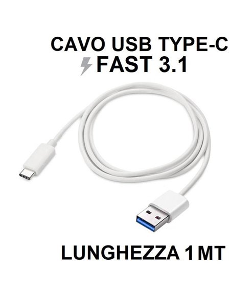 CAVO USB TYPE-C 3.1 FAST - LUNGHEZZA 1 MT COLORE BIANCO